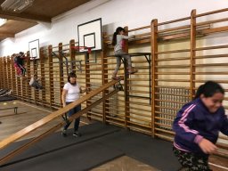 IMG-2009